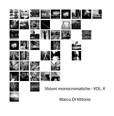 Visioni Monocromatiche book cover