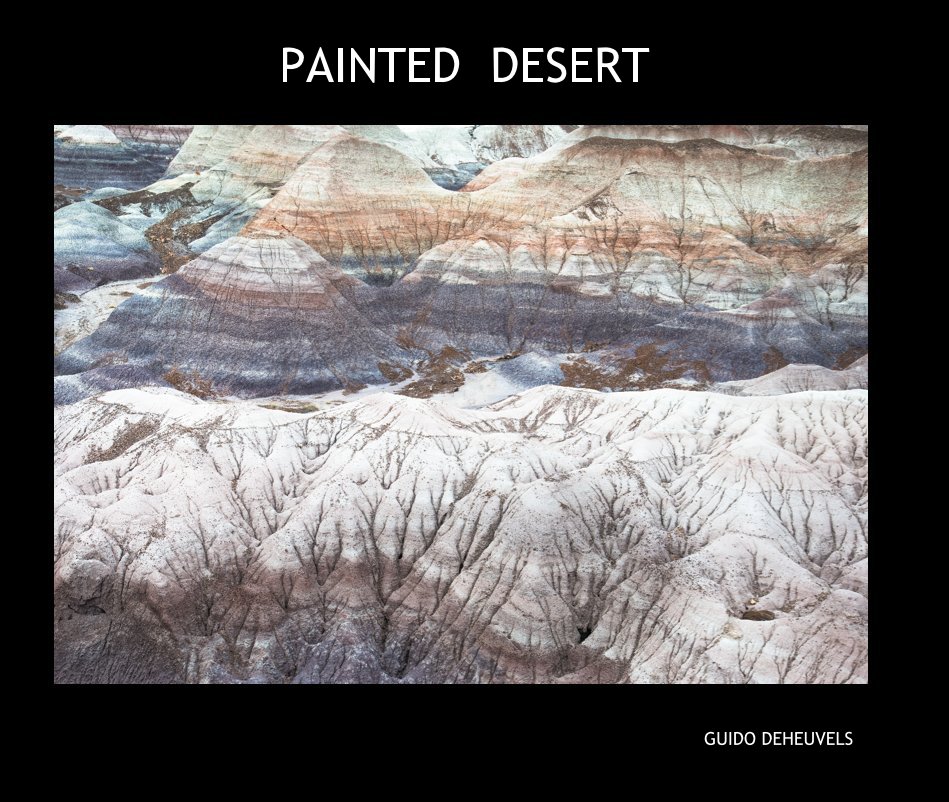 Visualizza PAINTED DESERT di GUIDO DEHEUVELS