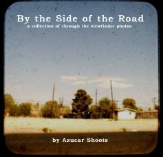 By the Side of the Road book cover