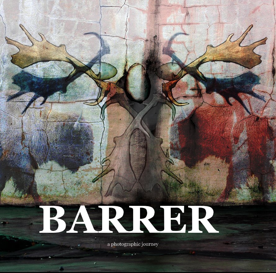 View BARRER a photographic journey by Brian Barrer