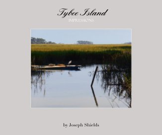 Tybee Island Impressions book cover