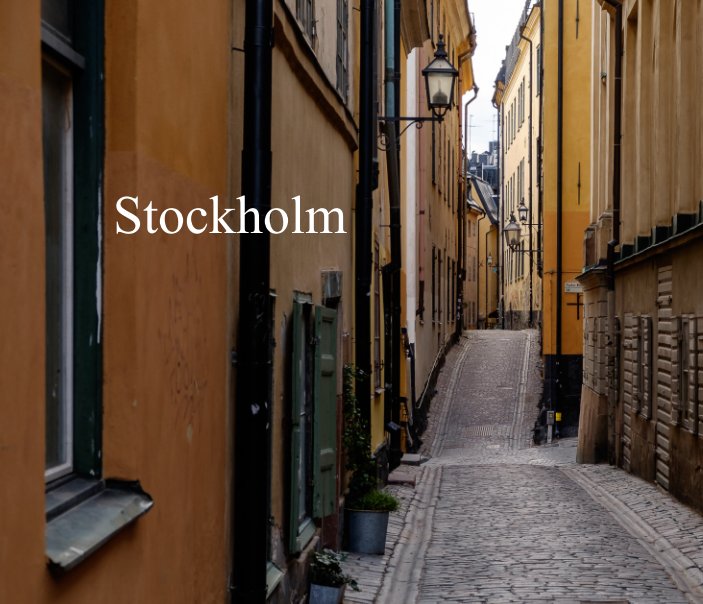 View Stockholm by Frans van Leeuwen