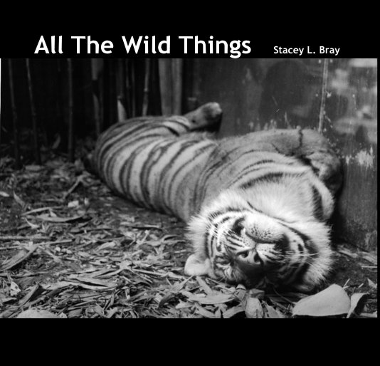 View All The Wild Things by Stacey L. Bray