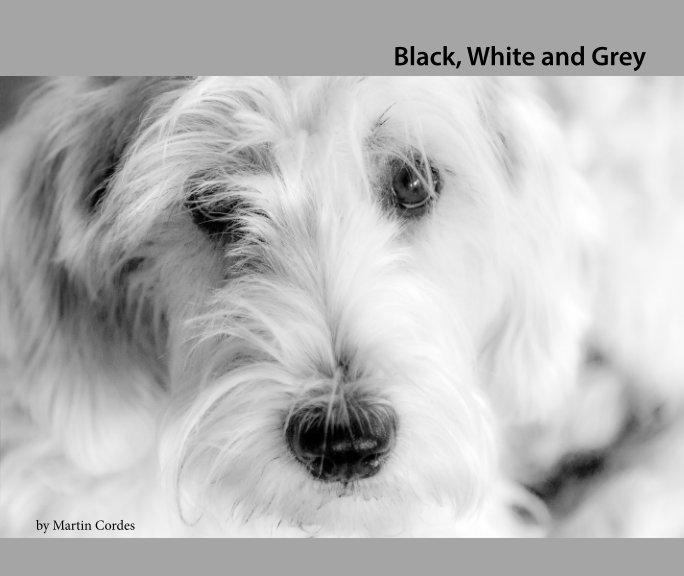 Ver Black, White and Grey por Martin Cordes