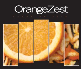 OrangeZest 2016 book cover