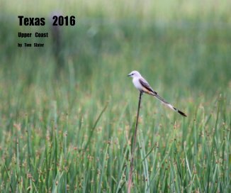 Texas 2016 book cover