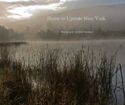 Home to Upstate New York book cover