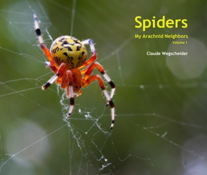 Spiders book cover