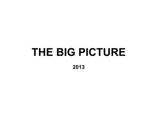 The Big Picture 2013 book cover