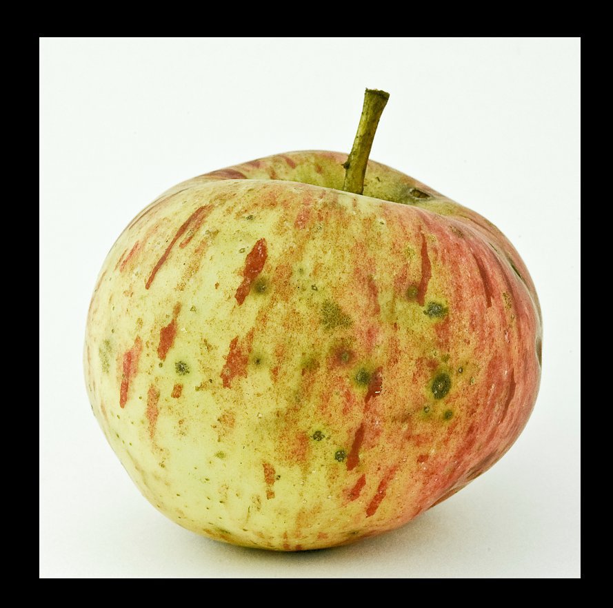 Bekijk Feral Apples op Peggy Taylor Reid