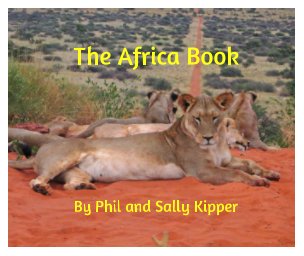 The Africa Book book cover