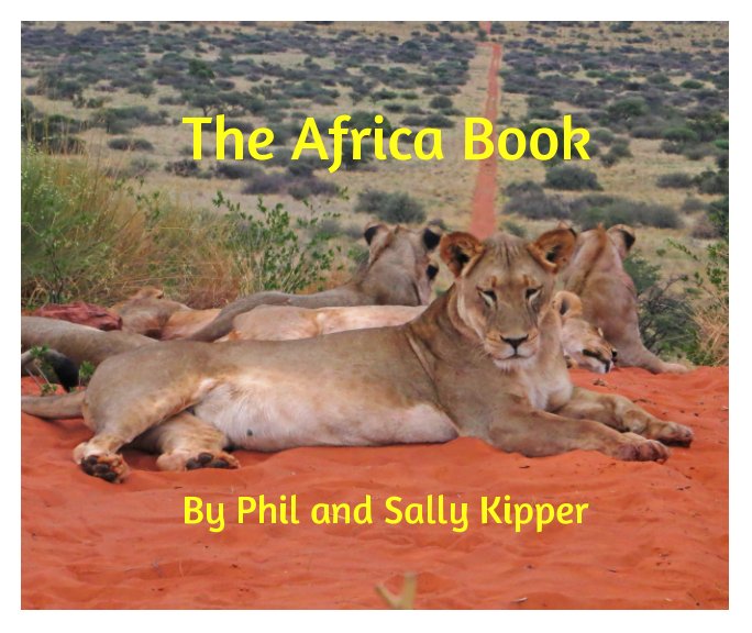 Visualizza The Africa Book di Phil Kipper, Sally Kipper