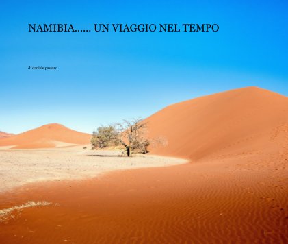 NAMIBIA...... UN VIAGGIO NEL TEMPO book cover