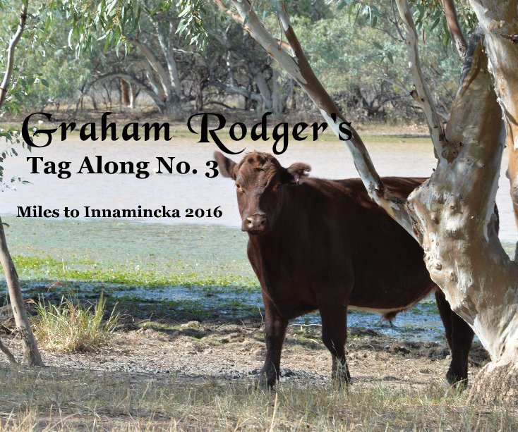 View Graham Rodger's Tag Along No. 3 by Louise and Ken Scouten