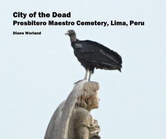 City of the Dead Presbitero Maestro Cemetery, Lima, Peru book cover