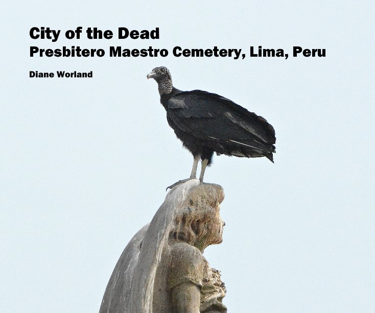 View City of the Dead Presbitero Maestro Cemetery, Lima, Peru by Diane Worland