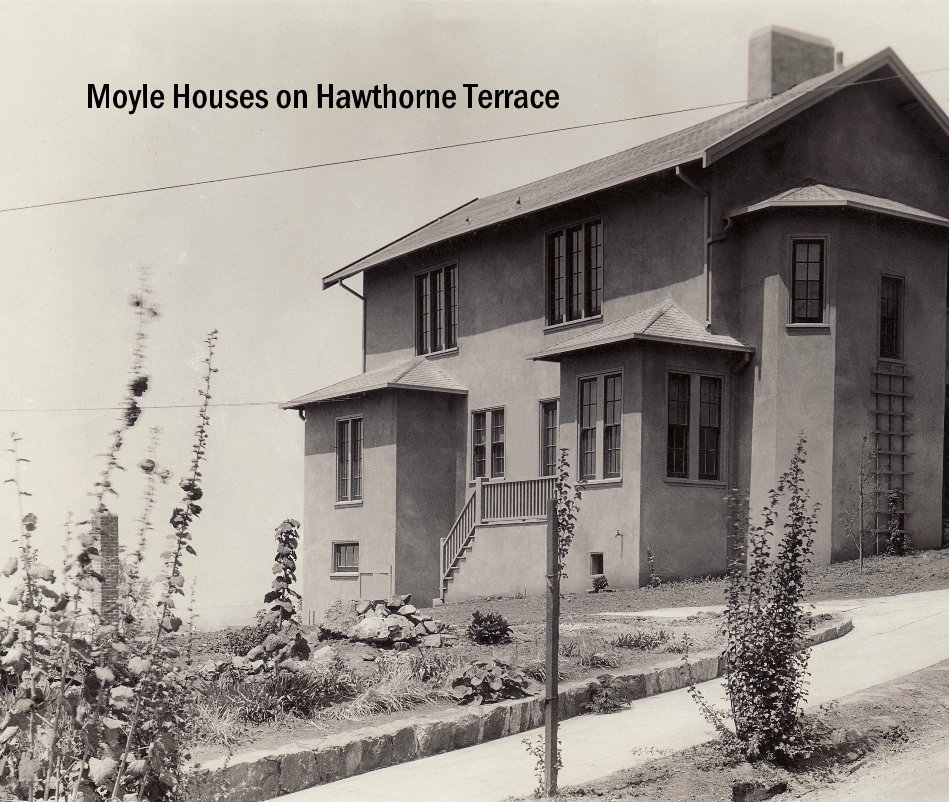 View Moyle Houses on Hawthorne Terrace by lpalsak