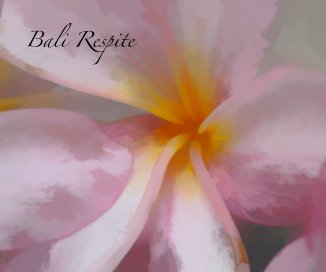 Bali Respite book cover