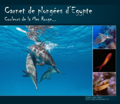Carnet de plongées d'Egypte book cover
