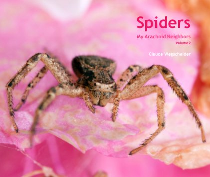 Spiders book cover