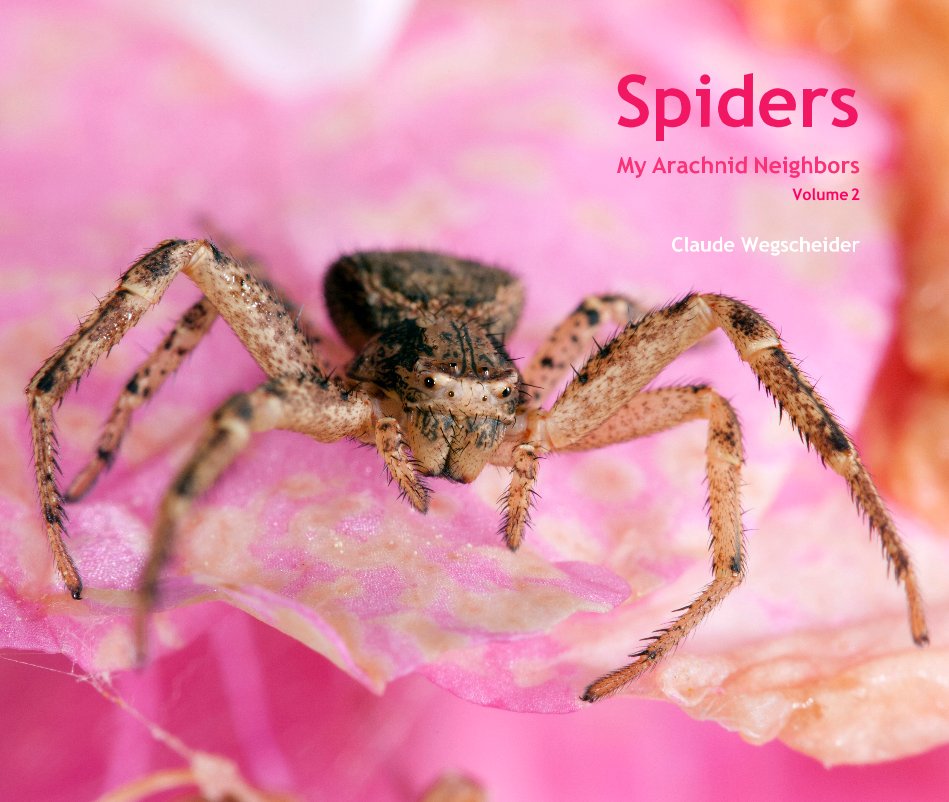 View Spiders by Claude Wegscheider