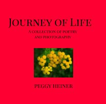 Journey of Life book cover
