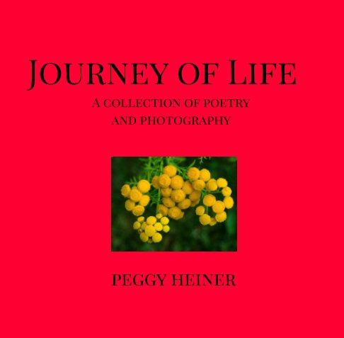 Ver Journey of Life por Peggy Heiner
