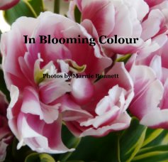 In Blooming Colour book cover
