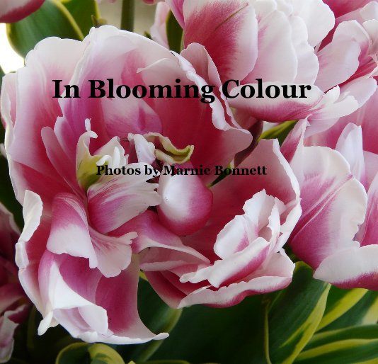 View In Blooming Colour by Photos by Marnie Bonnett