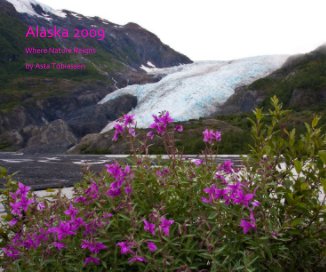 Alaska 2009 book cover