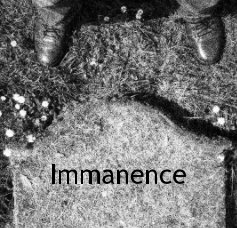 Immanence book cover