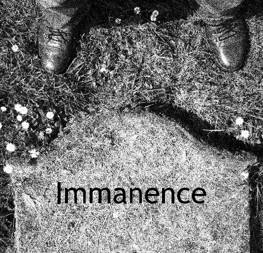 View Immanence by John Sumpter