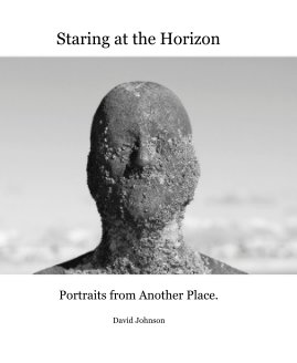 Staring at the Horizon book cover