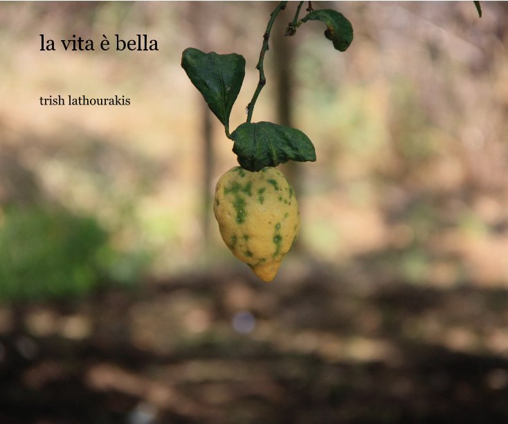 View la vita Ã¨ bella by trish lathourakis