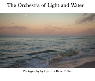 The Orchestra of Light and Water book cover