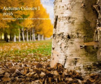 Autumn Colours I 2016 book cover