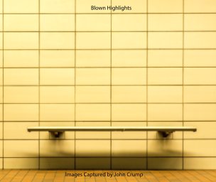 Blown Highlights book cover