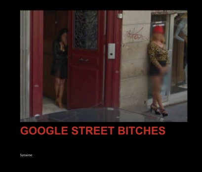GOOGLE STREET BITCHES book cover