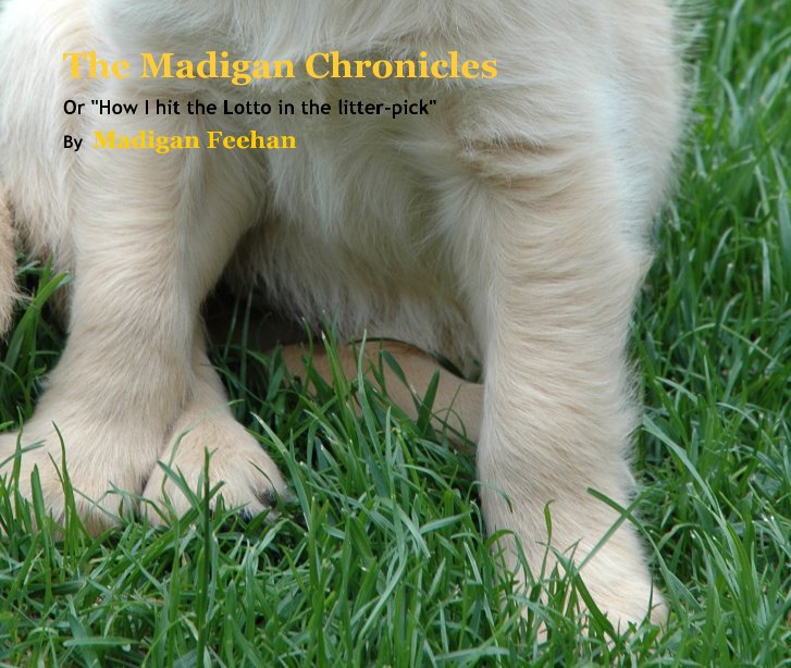 View The Madigan Chronicles by Madigan Feehan