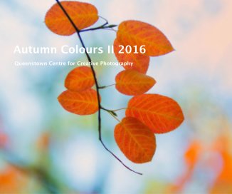 Autumn Colours II 2016 book cover