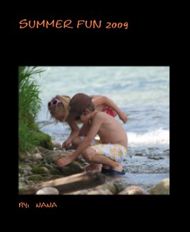 summer fun 2009 book cover