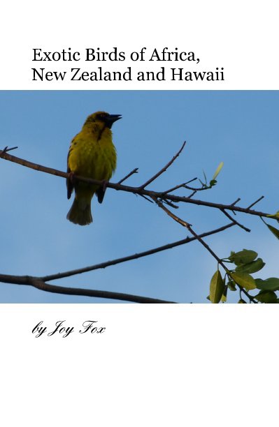 Exotic Birds of Africa, New Zealand and Hawaii nach Joy Fox anzeigen