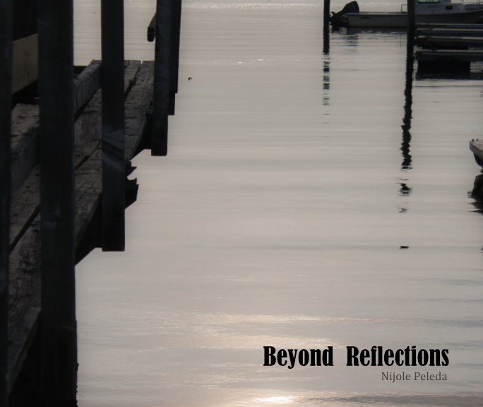 Beyond Reflections nach Nijole Peleda anzeigen