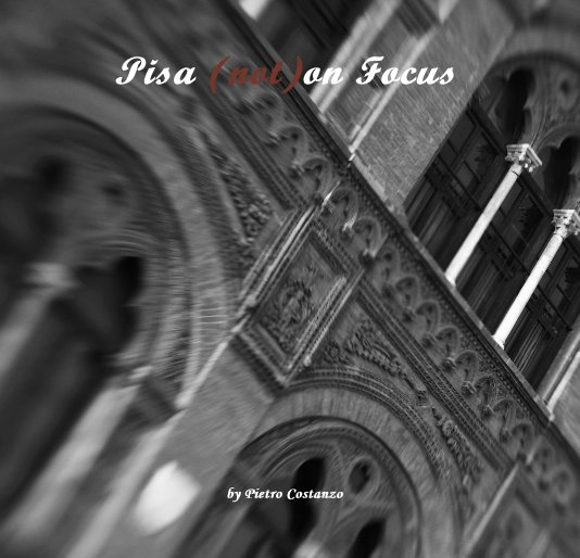 View Pisa (not)on Focus by Pietro Costanzo