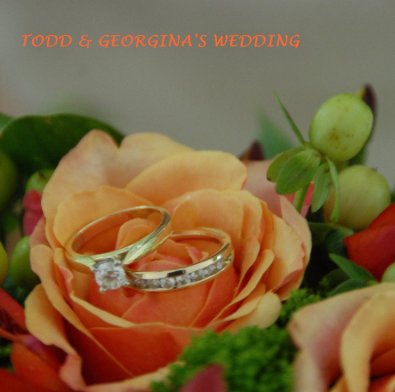 TODD AND GEORGINA'S WEDDING book cover