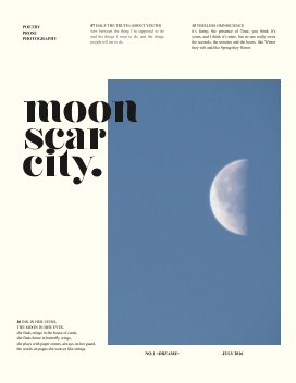 MOON SCAR CITY book cover