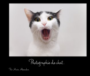 Photographie de chat . book cover