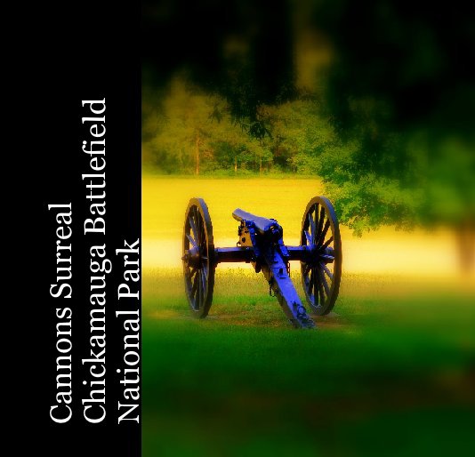 View Cannons SurrealChickamauga Battlefield National Park by Ed Cwynar