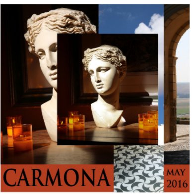 Carmona  2016 book cover