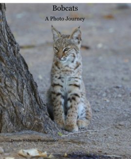 Bobcats book cover